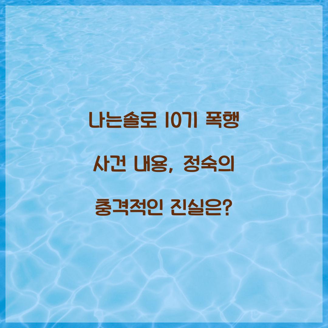 나는솔로 10기 폭행 사건 내용
