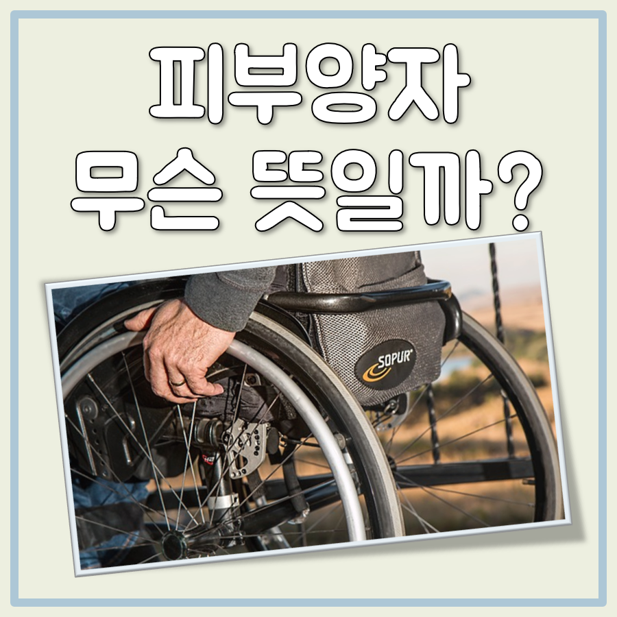 피부양자 뜻 대표 이미지