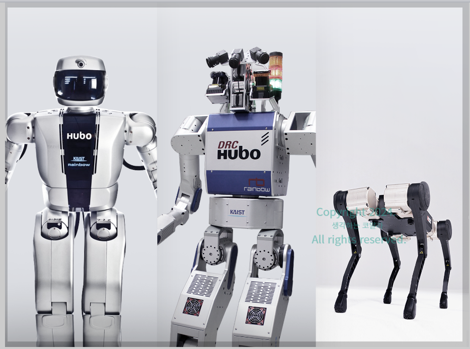 레인보우로보틱스 HUBO