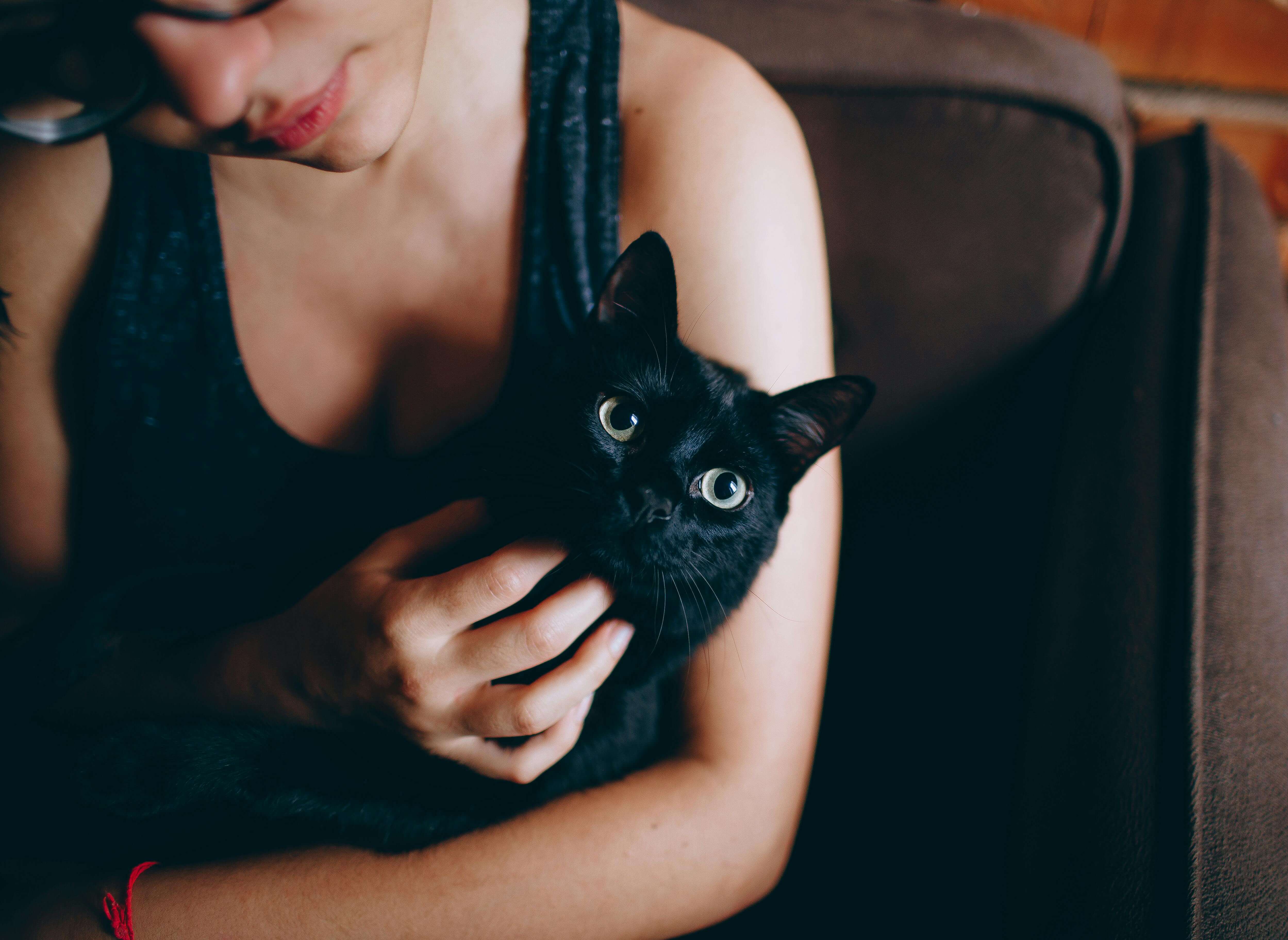 검은 고양이 이름 추천