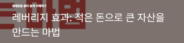 레버리지 효과: 적은 돈으로 큰 자산을 만드는 마법