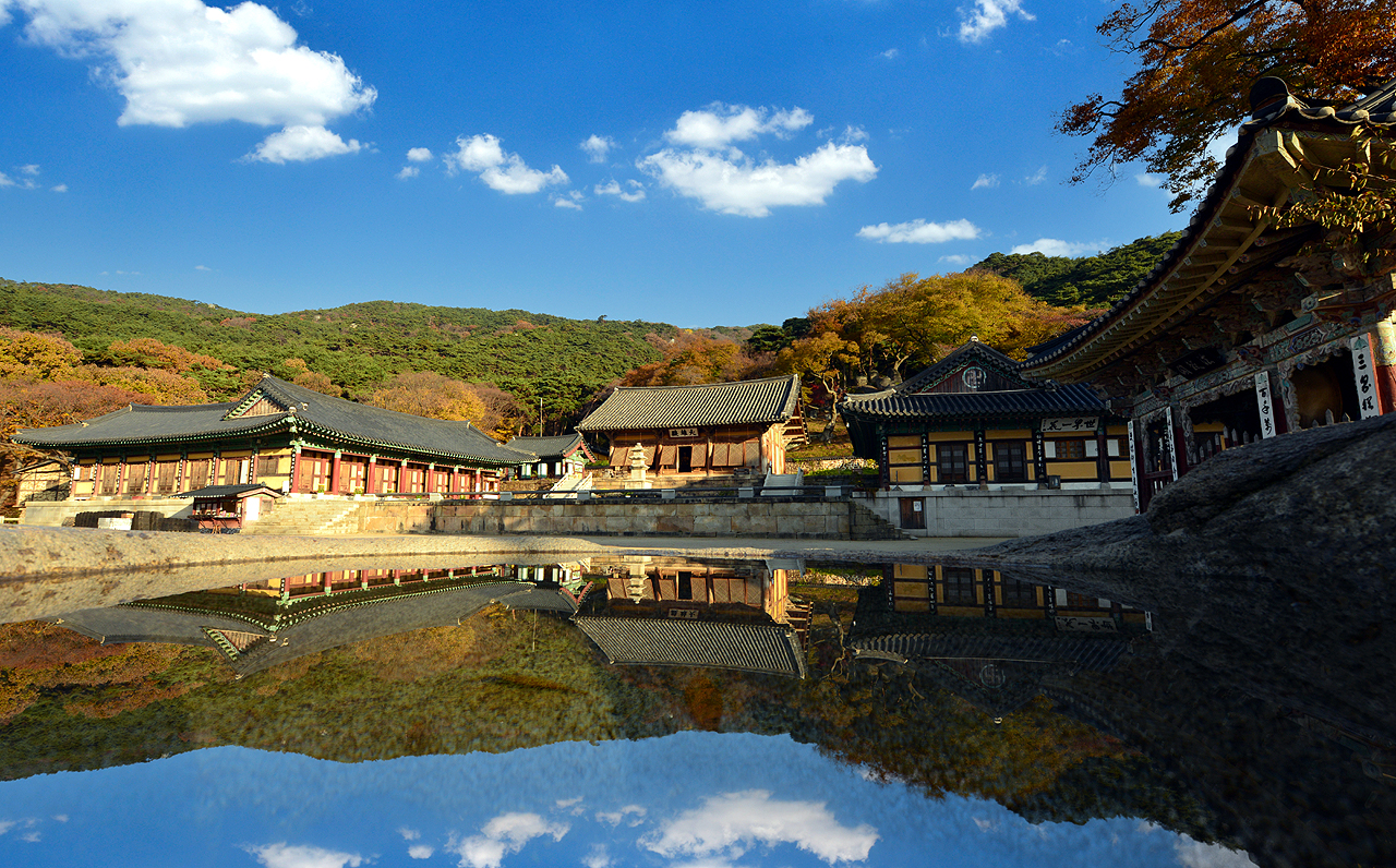 예산 수덕사 단풍