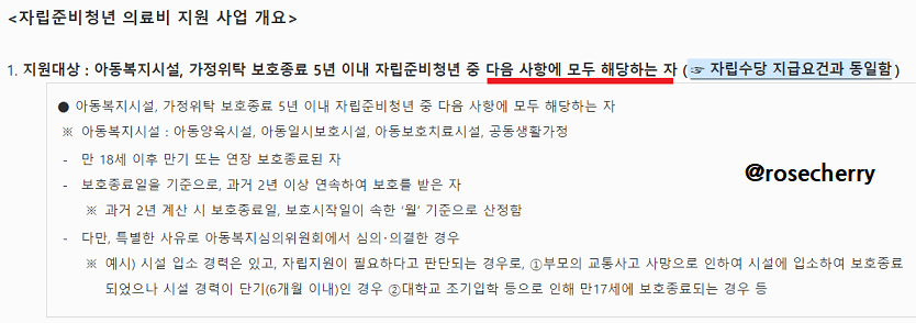 자립준비청년-의료비-지원사업-지원대상-설명안내
