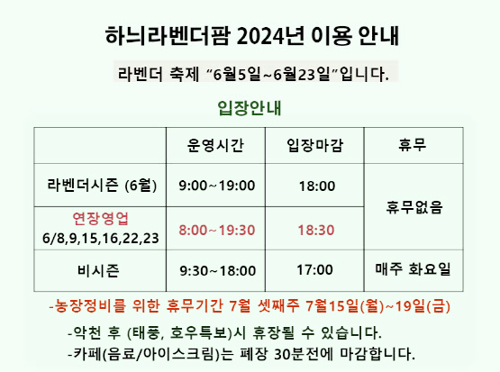 라벤더 축제 일정