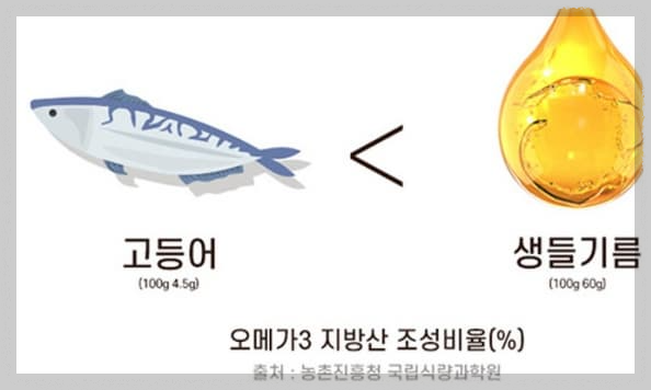 들기름-효능