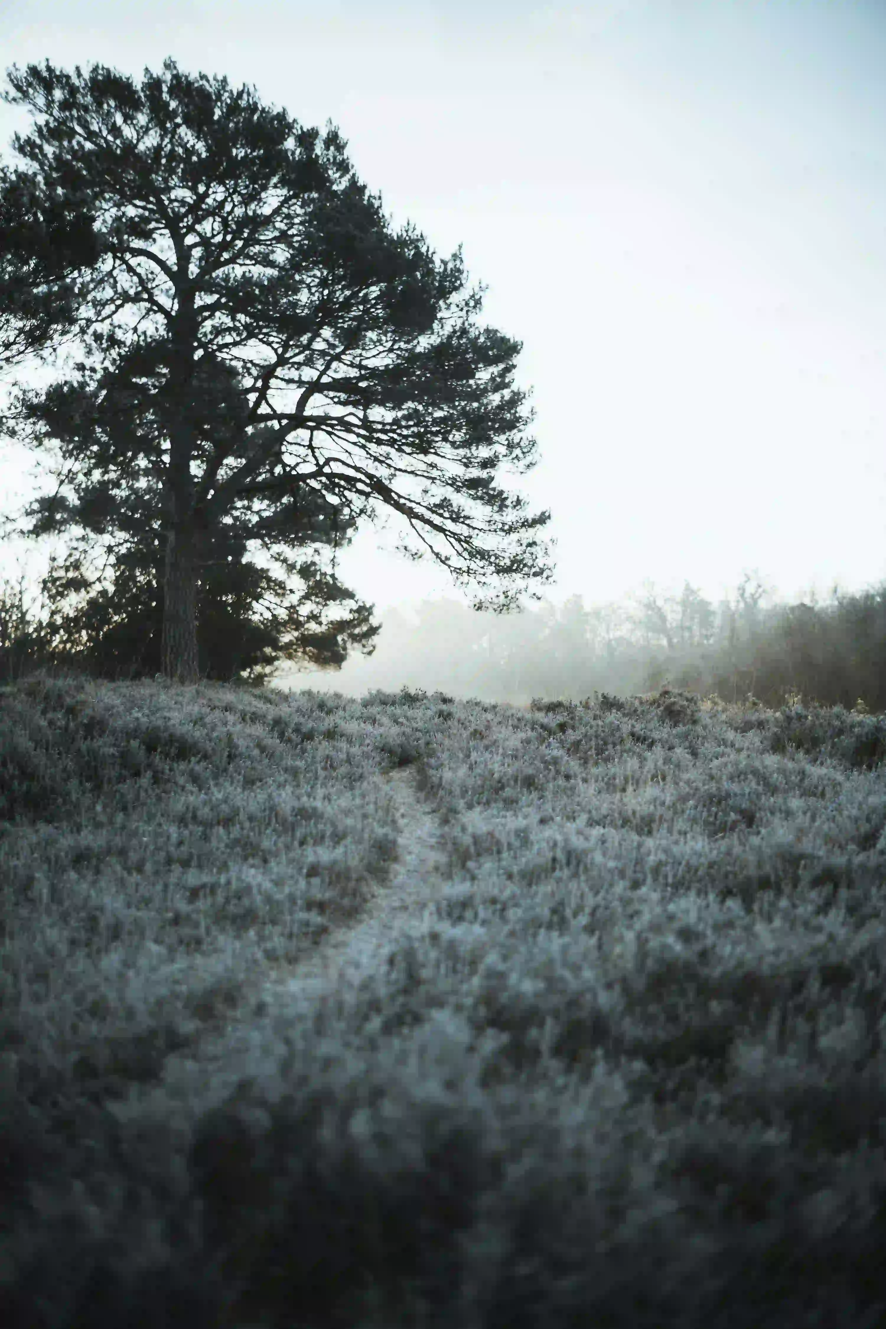 B형독감 잠복기 총정리 (+A형과 차이&middot;격리기간&middot;예방)