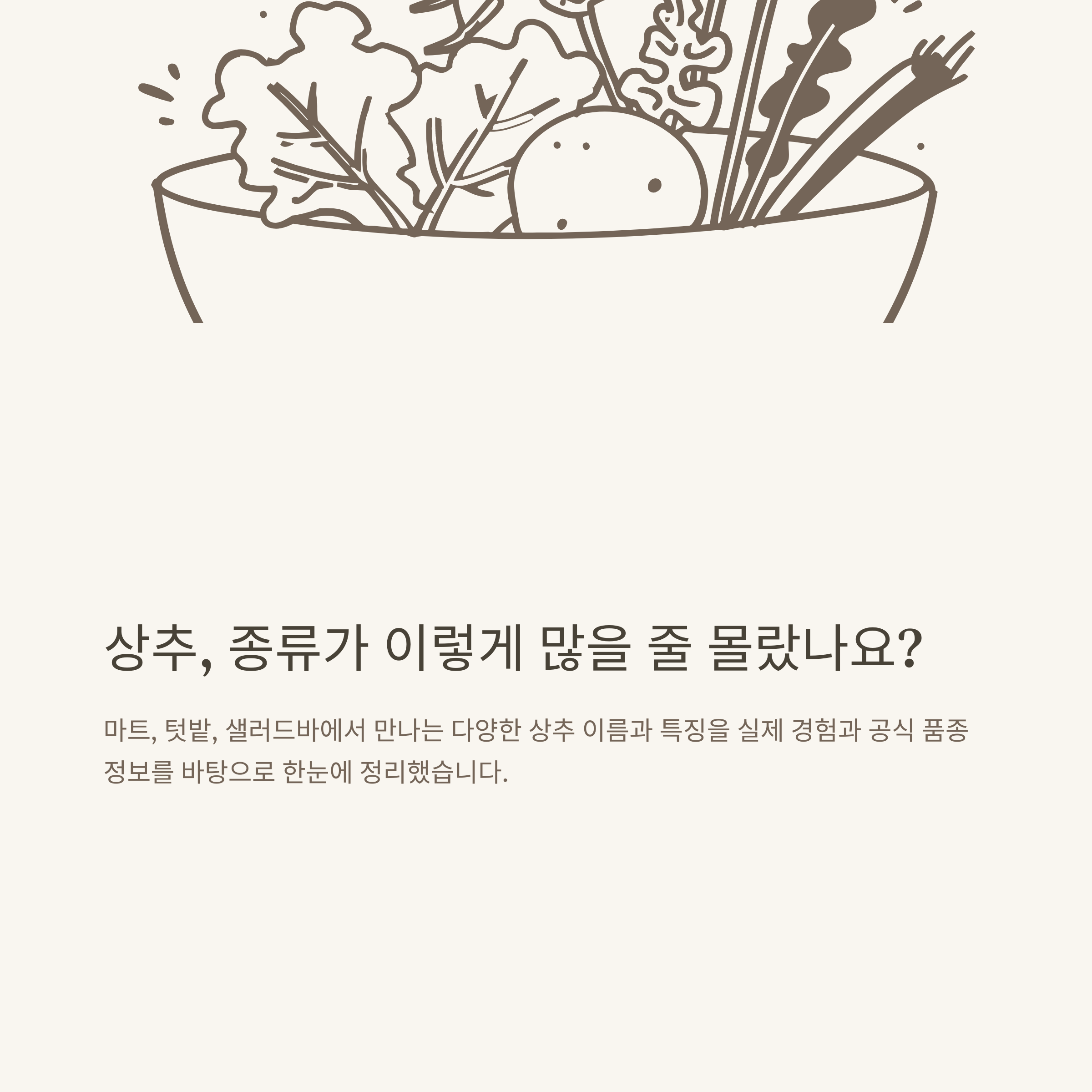 상추 종류 이름 완벽정리 – 로메인상추부터 청상추, 샐러드·유럽·텃밭 상추까지 실제 재배·구매 경험과 공식 품종 정보 기반