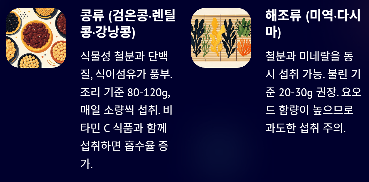 철분 많은 음식 10가지 및 부족증상 알아보기