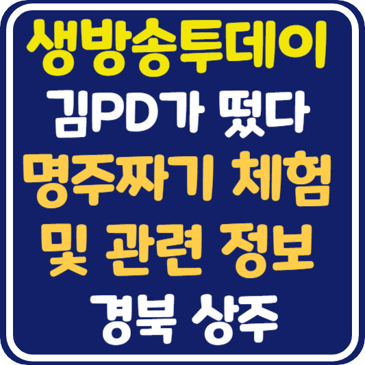 생방송 투데이 상주 전통 명주 짜기 체험 및 관련 정보 안내 : 김PD가 떴다