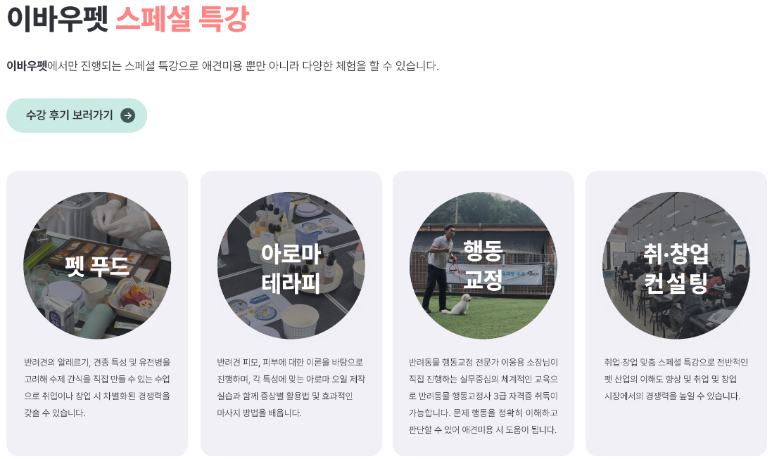 노원강아지미용사