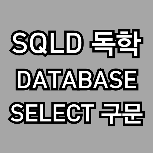 SQL? DB? SELECT? … 이게 다 뭐야? 핵심만 알고가자! (데이터베이스 공부, SQLD 독학)