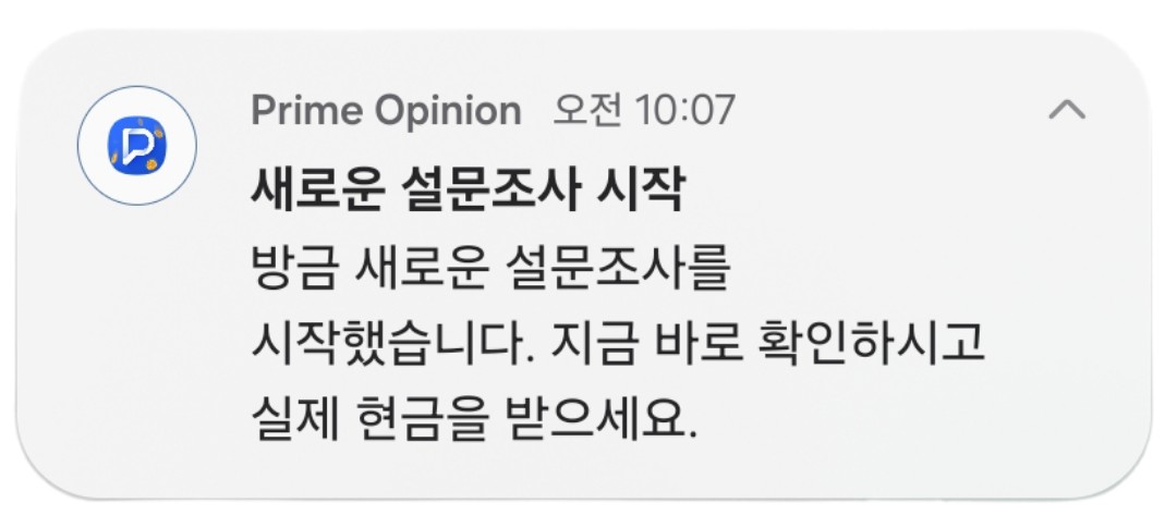 프라임 오피니언 앱 알림 이미지