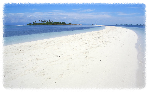 보홀 버진 아일랜드