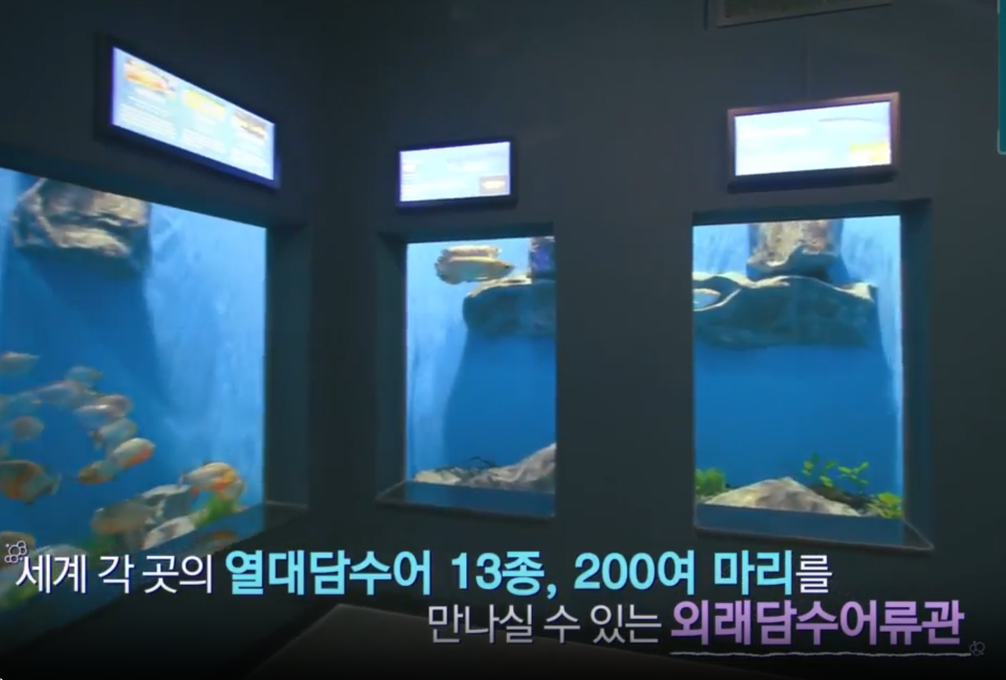 충북 아쿠아리움 정보 안내