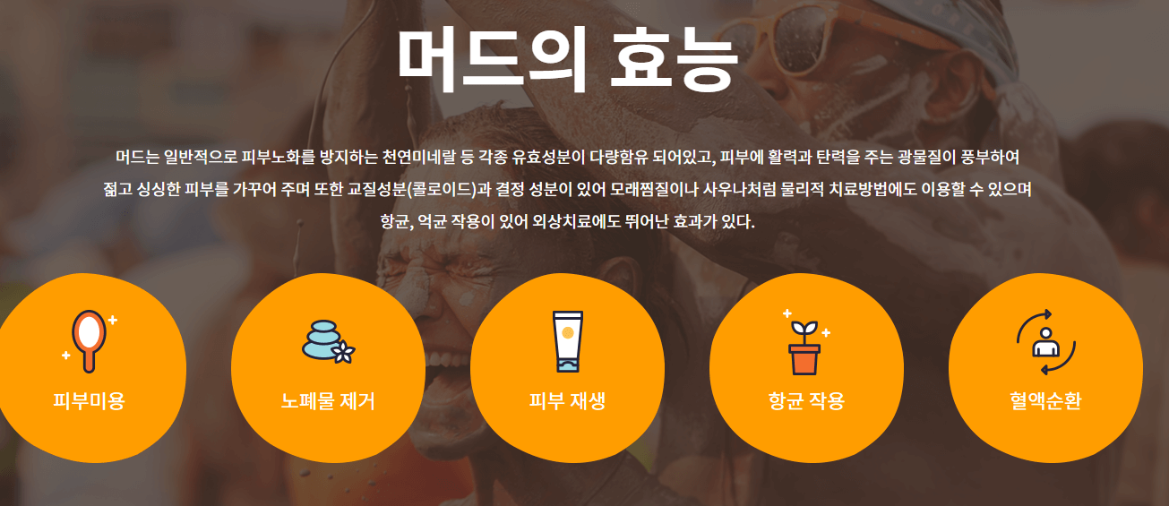 머드 효능
