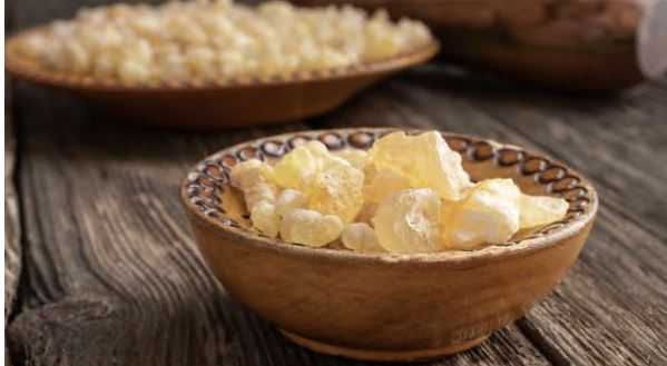 관절-영양제-추천