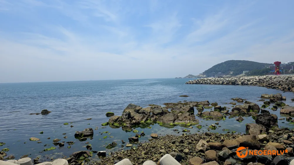 시원하게 펼쳐진 기장 앞바다