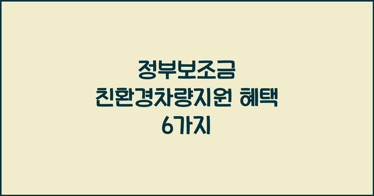 정부보조금 친환경차량지원