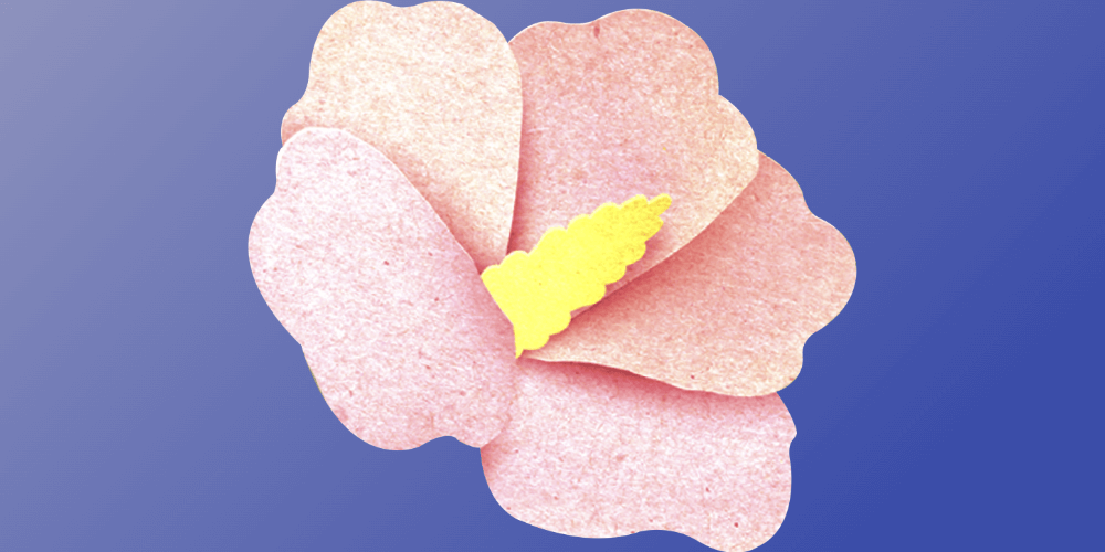 애국지사 특별예우금 지원대상