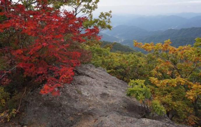 2025 지리산 단풍 절정 시기 & 실시간 현황 + 인기 등산코스 총정리