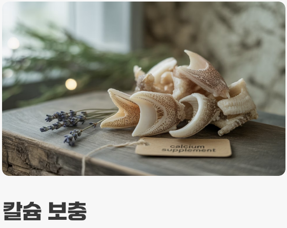 편식 없는 미식가 (먹이 가이드)