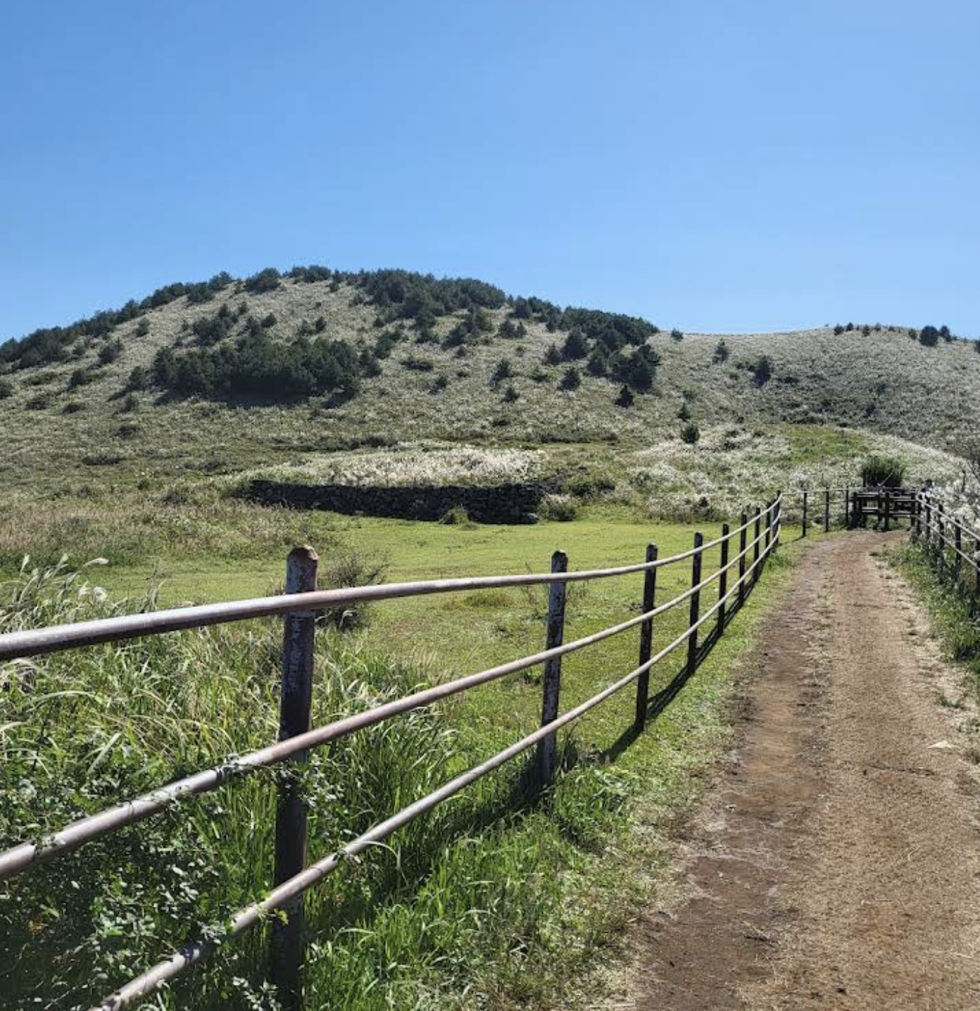 용눈이오름: 부드러운 능선의 여왕