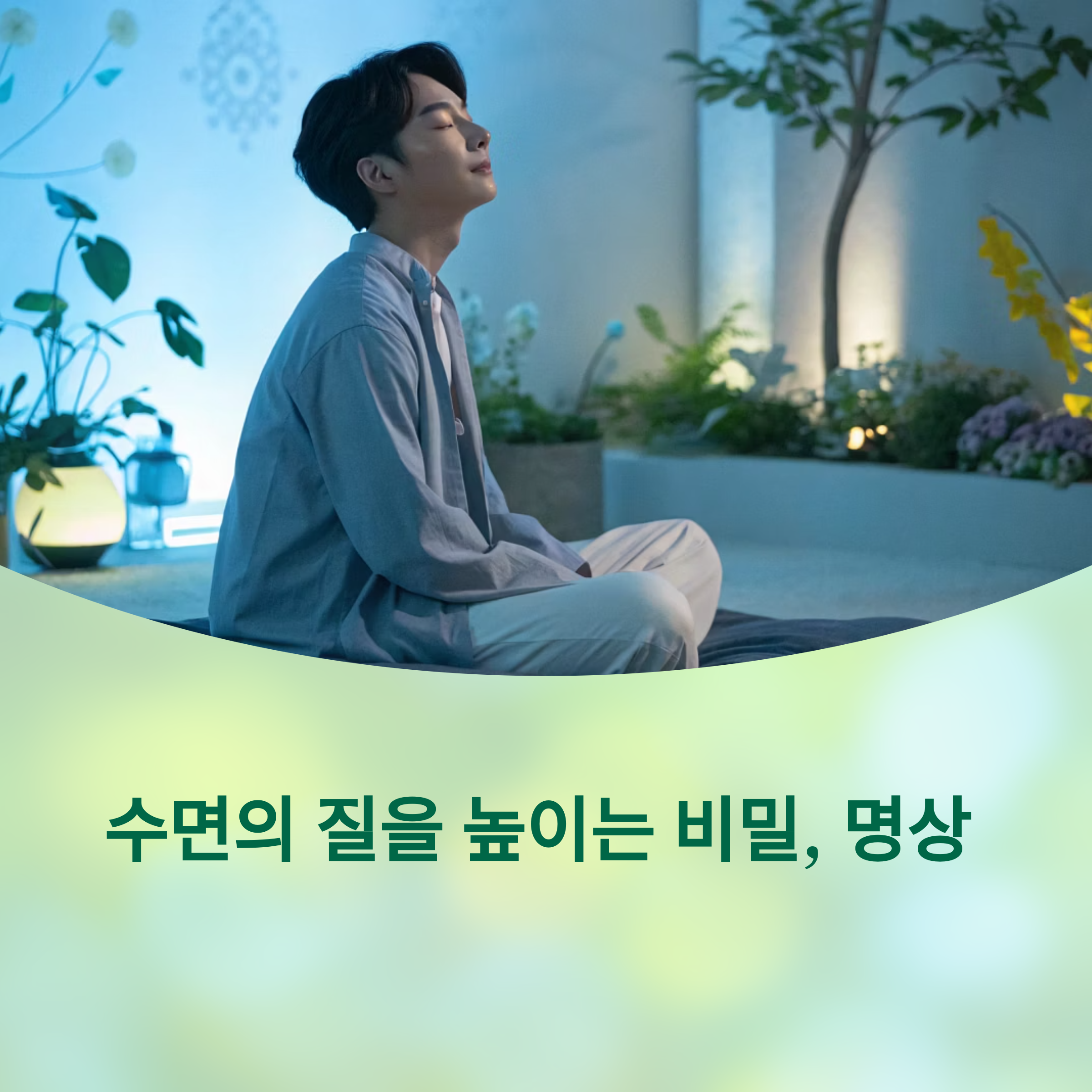 명상이 바꾸는 밤의 질, 수면의 질을 높이는 비밀에 대한 이미지