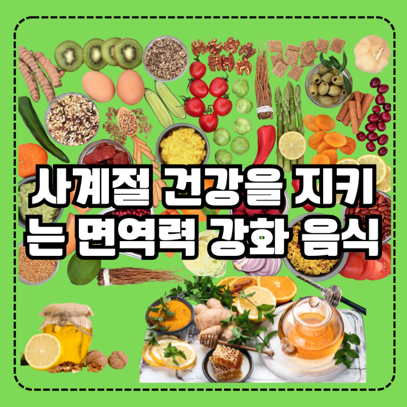 사계절 건강을 지키는 면역력 강화 음식