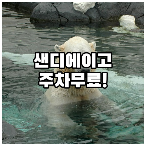 미국 샌디에이고 가성비 숙소 추천 리..