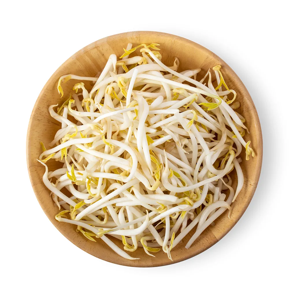 콩나물 보관법