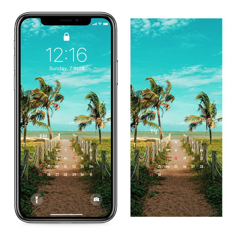 01 야자나무 AB - 2024년8월 아이폰달력배경화면