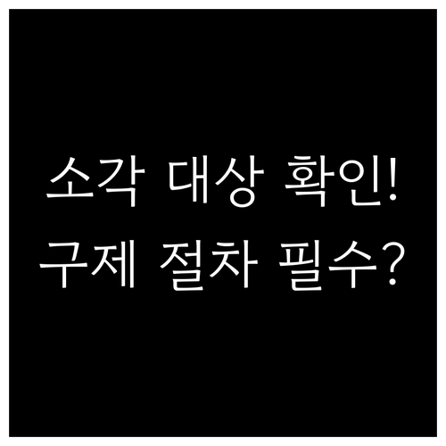 장기 연체 채권 소각 대상 여부 확인..
