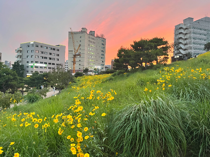 산책로