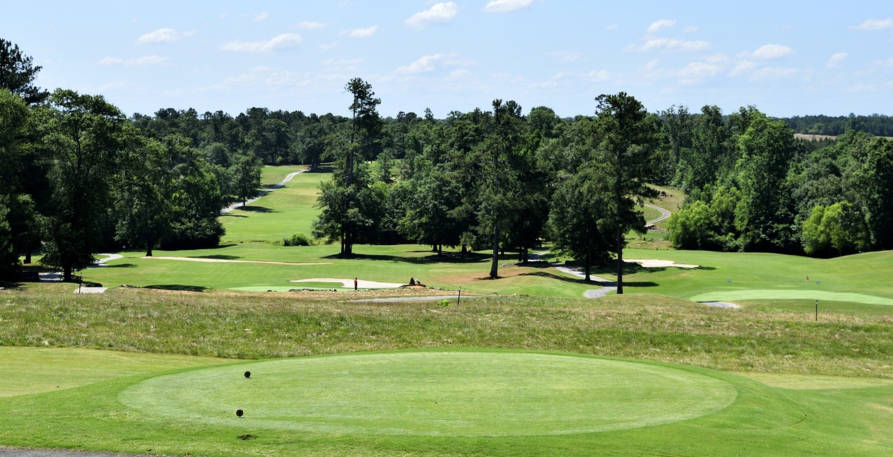 숲이 있는 파크골프장 사진