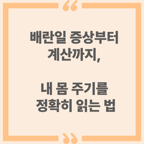 배란일 증상부터 계산까지, 내 몸 주기를 정확히 읽는 법