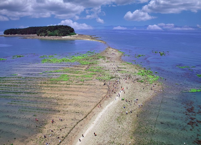 2025 무창포 신비의 바닷길 + 주꾸미 도다리축제｜먹거리&middot;체험&middot;일정 정리