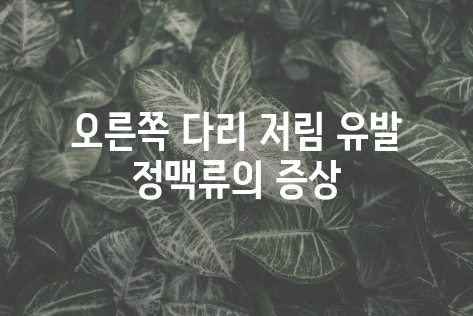 오른쪽 다리 저림 유발 정맥류의 증상