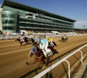 한국마사회 경마지원직·청년인턴·정규직 채용 총정리