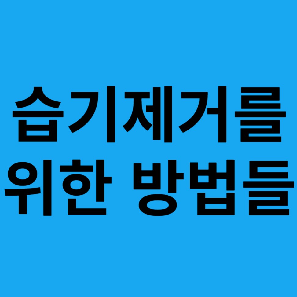 후덥지근한 습기 제거를 위한 방법들