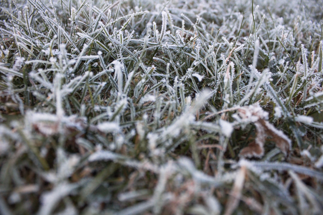 Freezing.