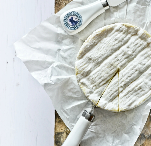 치즈의 효능과 부작용, 치즈의 역사, 칼로리, 당뇨와 GI지수,치즈 만드는법