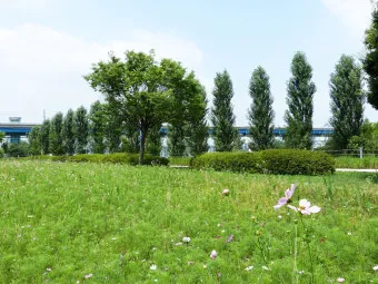 6월 7월 8월 장마 기간 시작일은 언제 미리 체크하는 장마철 생활 수칙 완벽 준비_15