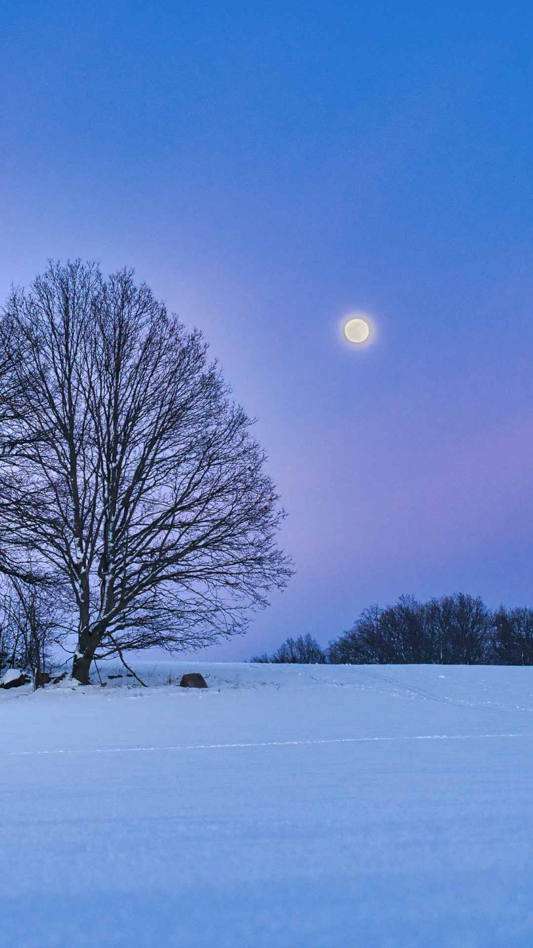 snow wallpaper