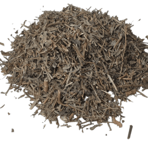 말린 마디풀_말린 편축_Knotgrass