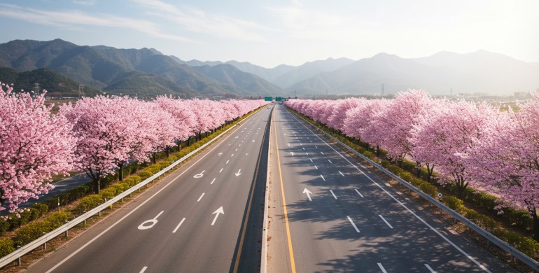 고속도로 이미지