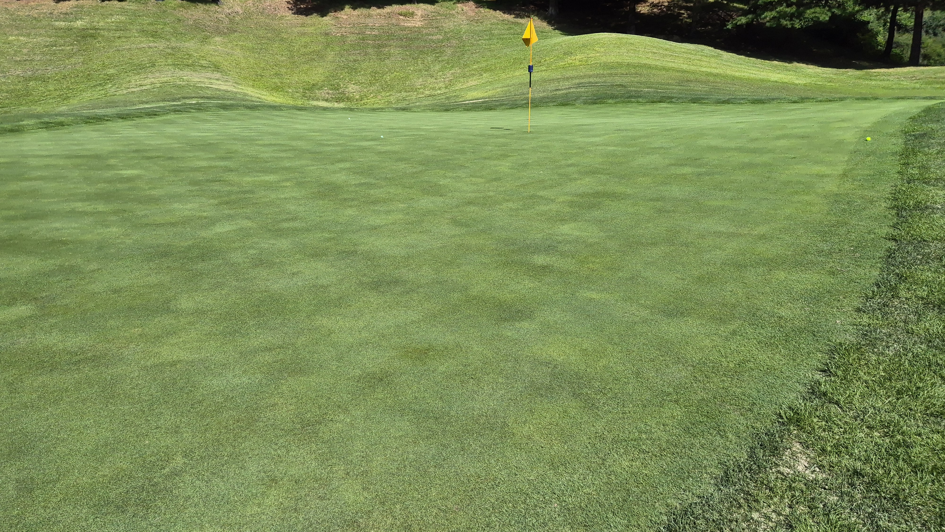 골프존카운티 천안 라운드 후기