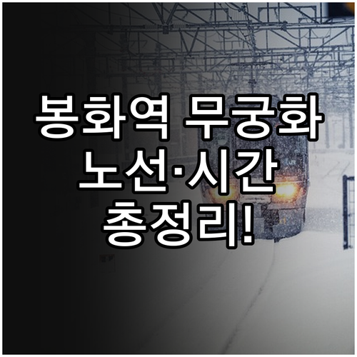봉화역 무궁화호 노선 정보와 주요 구..