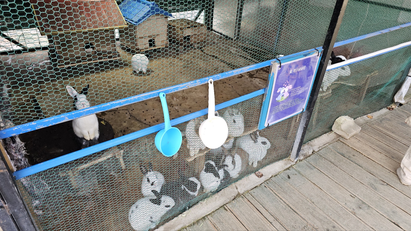 [24.11월] 아이와 평창 #1 - 모나 용평리조트 애니포레🏔️