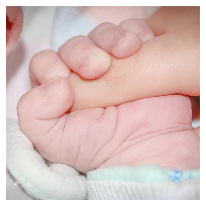 유아학비 지원제도 대상1