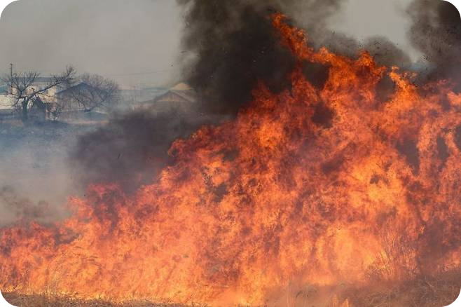 의성 산불 안동 확산에 비상